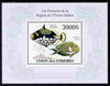 Comoro Islands 2010 Fish from the Indian Ocean Region perf s/sheet unmounted mint, Michel BL 572