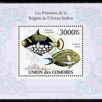 Comoro Islands 2010 Fish from the Indian Ocean Region perf s/sheet unmounted mint, Michel BL 572