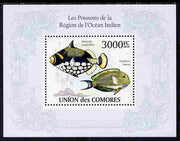 Comoro Islands 2010 Fish from the Indian Ocean Region perf s/sheet unmounted mint, Michel BL 572