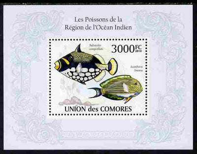 Comoro Islands 2010 Fish from the Indian Ocean Region perf s/sheet unmounted mint, Michel BL 572