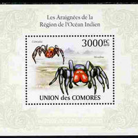 Comoro Islands 2010 Spiders from the Indian Ocean Region perf s/sheet unmounted mint, Michel BL 571