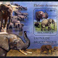 Mozambique 2011 Elephants perf m/sheet containing octagonal shaped value unmounted mint