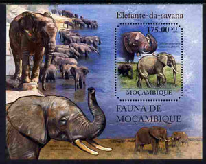 Mozambique 2011 Elephants perf m/sheet containing octagonal shaped value unmounted mint