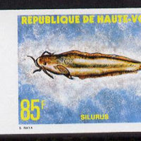 Upper Volta 1979 Freshwater Fish 85f Catfish unmounted mint imperf single, as SG 522