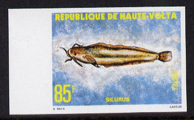 Upper Volta 1979 Freshwater Fish 85f Catfish unmounted mint imperf single, as SG 522