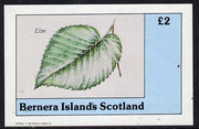 Bernera 1982 Tree Leaves (Elm) imperf deluxe sheet (£2 value) unmounted mint