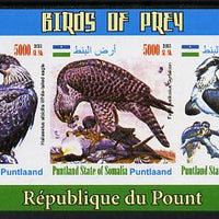 Puntland State of Somalia 2011 Birds of Prey imperf sheetlet containing 3 values unmounted mint