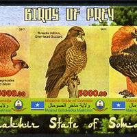 Maakhir State of Somalia 2011 Birds of Prey #1 imperf sheetlet containing 3 values unmounted mint